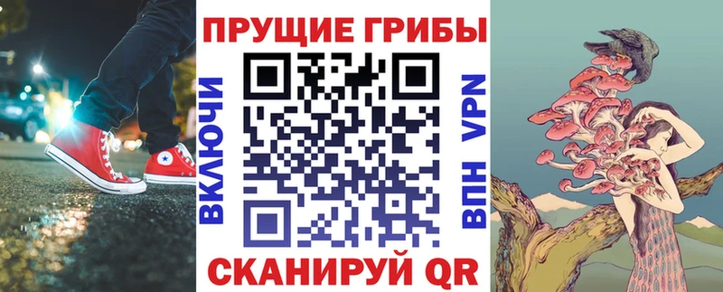 Галлюциногенные грибы Psilocybe Новотитаровская