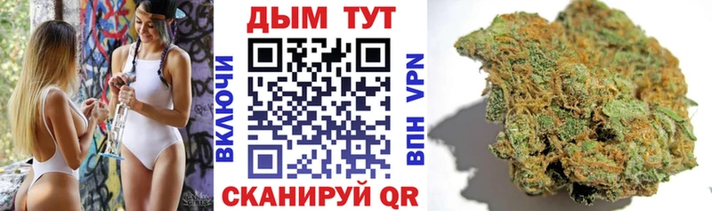 где можно купить наркотик  kraken маркетплейс  Канабис White Widow  Новотитаровская 
